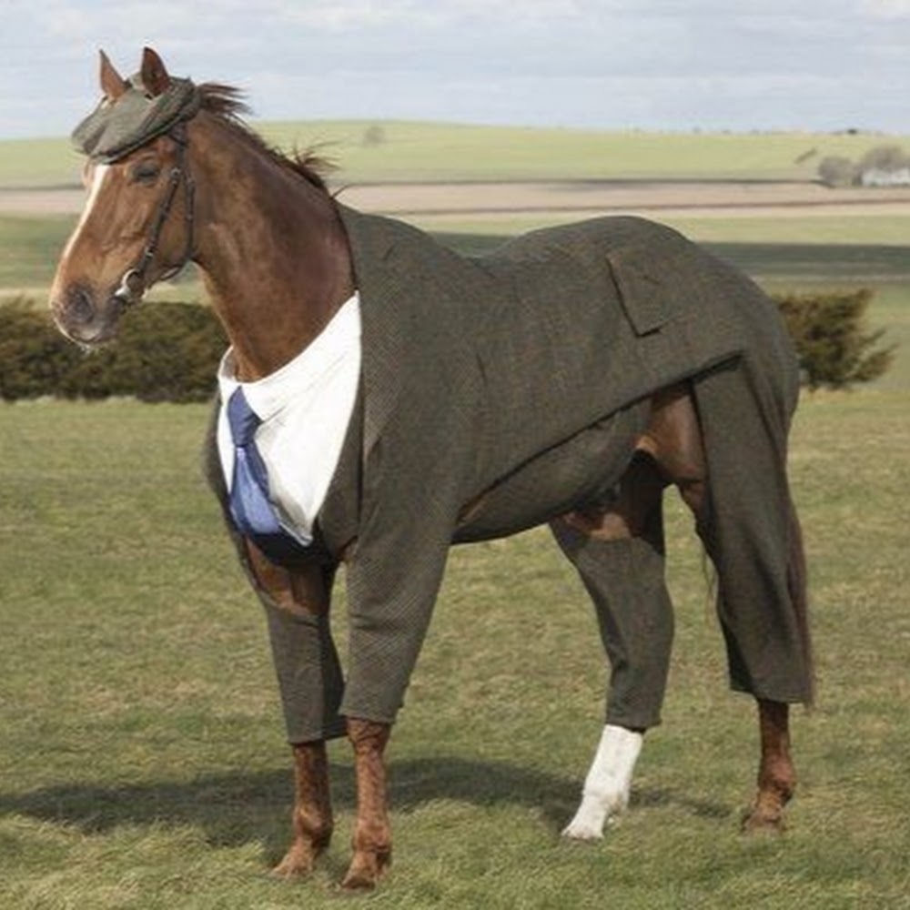 Meet your Posher, Makenzie